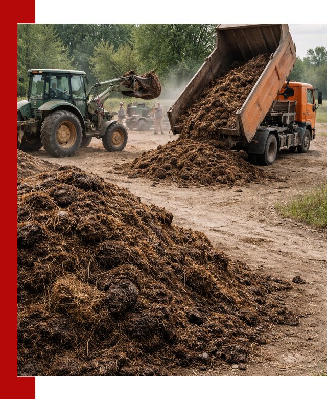 Доставка навоза самосвалами в Уфе для сельхозпотребностей